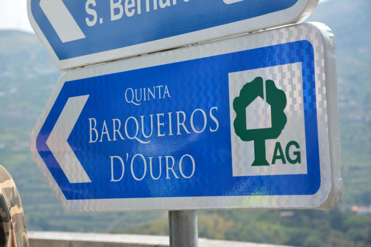 Quinta Barqueiros D'Ouro - Casa Da Musica Villa Mesao Frio Luaran gambar