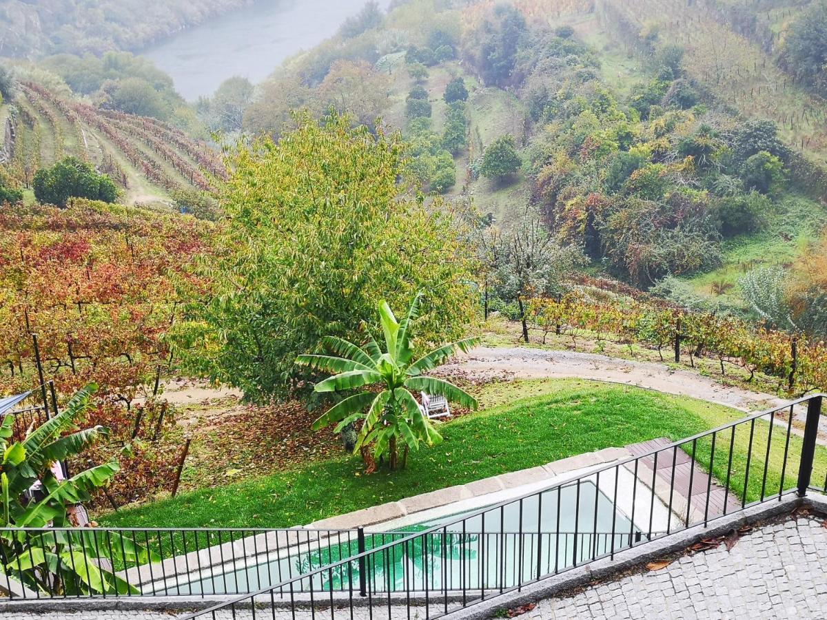 Quinta Barqueiros D'Ouro - Casa Da Musica Villa Mesao Frio Luaran gambar