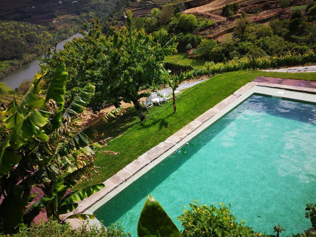 Quinta Barqueiros D'Ouro - Casa Da Musica Villa Mesao Frio Luaran gambar