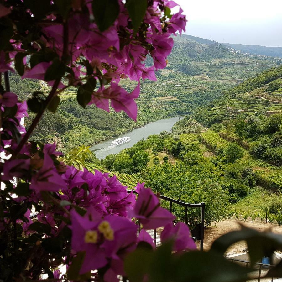 Quinta Barqueiros D'Ouro - Casa Da Musica Villa Mesao Frio Luaran gambar