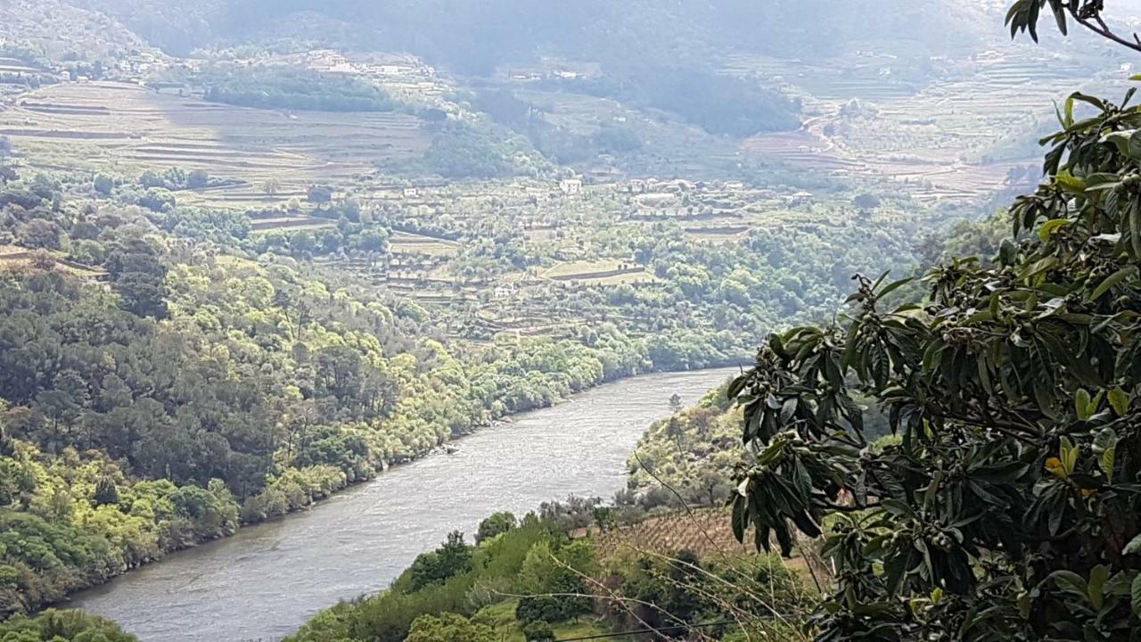 Quinta Barqueiros D'Ouro - Casa Da Musica Villa Mesao Frio Luaran gambar
